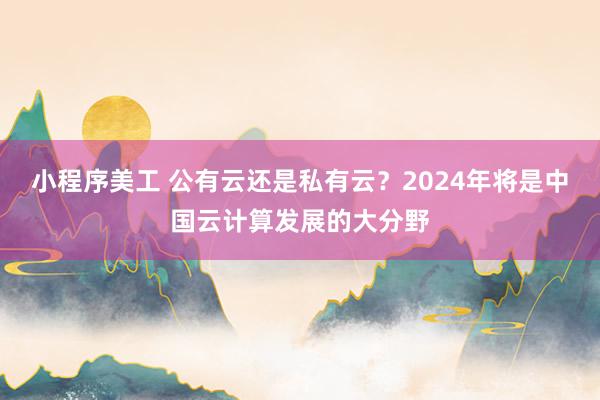 小程序美工 公有云还是私有云？2024年将是中国云计算发展的大分野