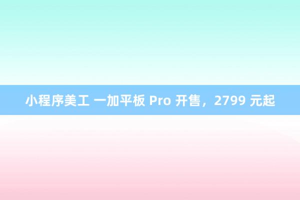 小程序美工 一加平板 Pro 开售，2799 元起