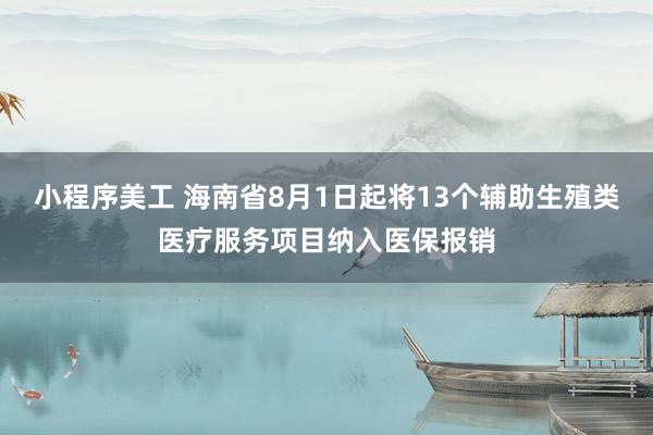 小程序美工 海南省8月1日起将13个辅助生殖类医疗服务项目纳入医保报销