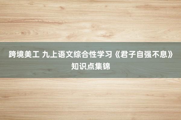 跨境美工 九上语文综合性学习《君子自强不息》知识点集锦