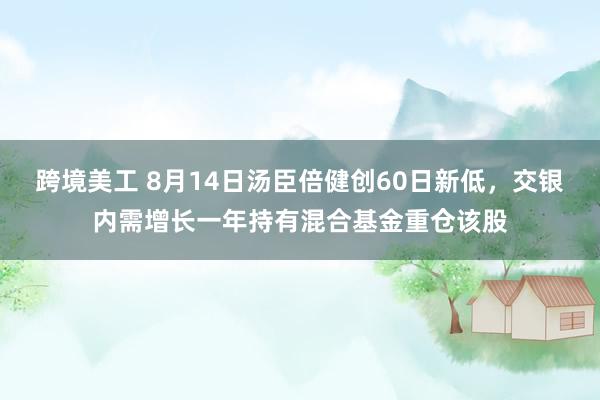 跨境美工 8月14日汤臣倍健创60日新低，交银内需增长一年持有混合基金重仓该股