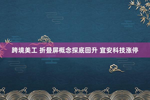 跨境美工 折叠屏概念探底回升 宜安科技涨停