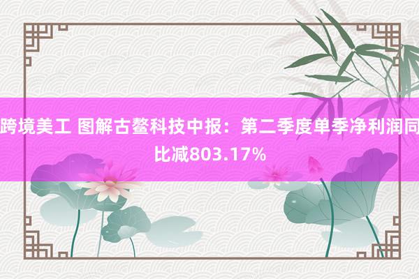 跨境美工 图解古鳌科技中报：第二季度单季净利润同比减803.17%