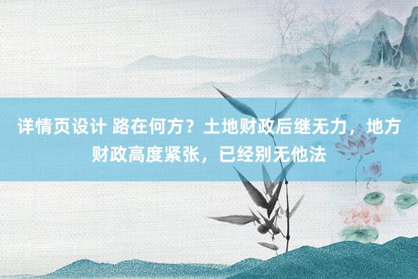 详情页设计 路在何方？土地财政后继无力，地方财政高度紧张，已经别无他法