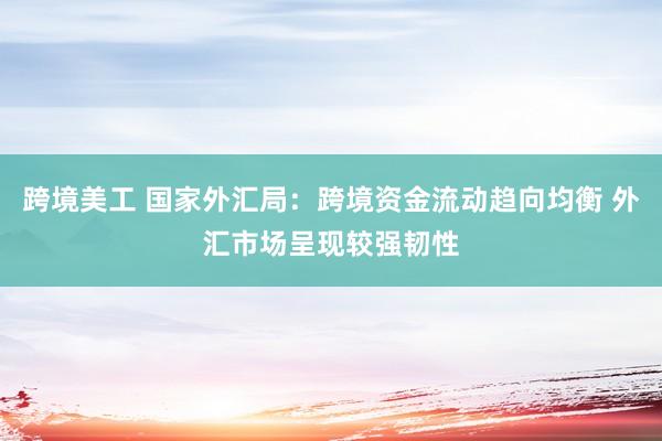 跨境美工 国家外汇局：跨境资金流动趋向均衡 外汇市场呈现较强韧性